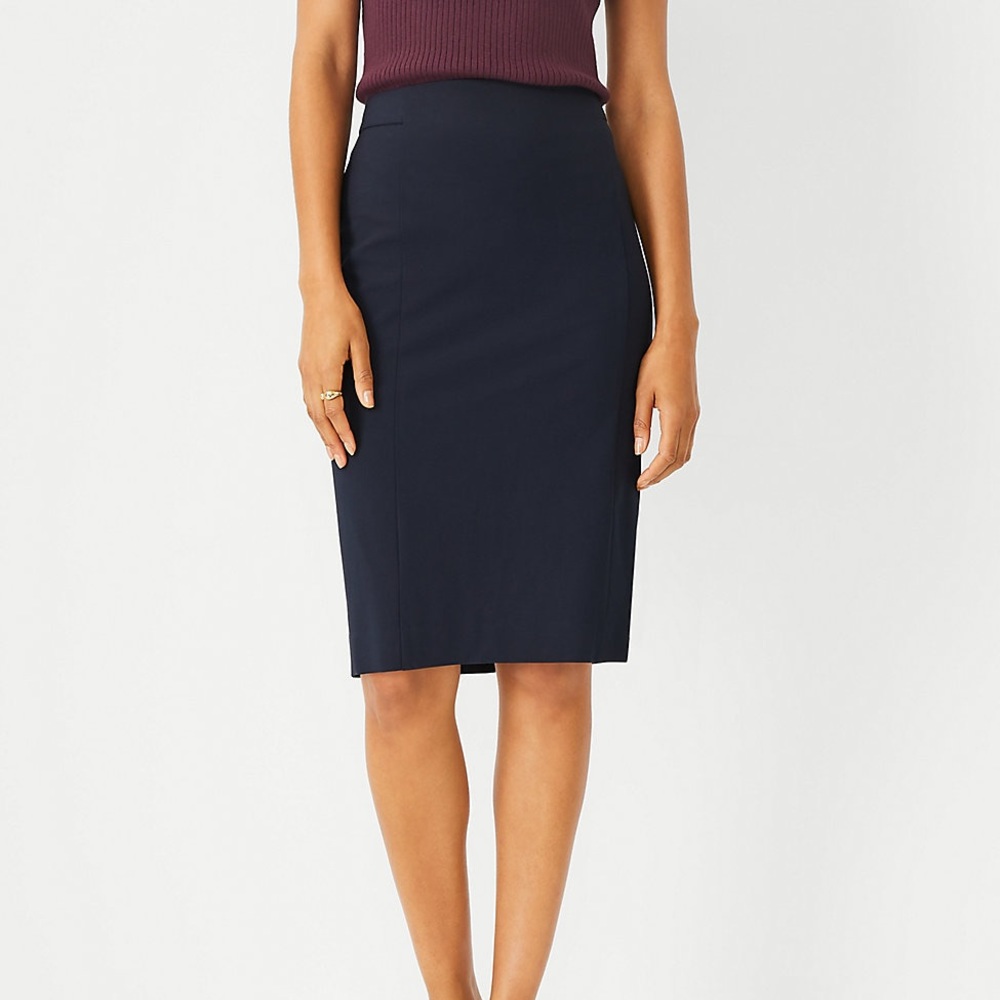NWT Ann Taylor Petite Pencil Skirt